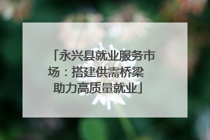 永兴县就业服务市场：搭建供需桥梁 助力高质量就业