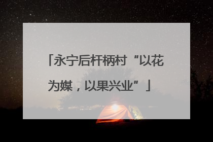 永宁后杆柄村“以花为媒，以果兴业”
