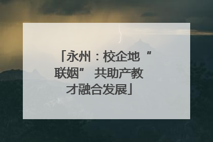永州：校企地“联姻” 共助产教才融合发展