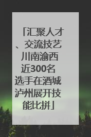 汇聚人才、交流技艺 川南渝西近300名选手在酒城泸州展开技能比拼