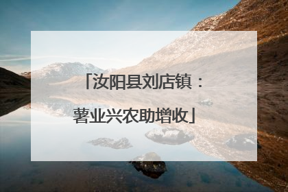汝阳县刘店镇：薯业兴农助增收