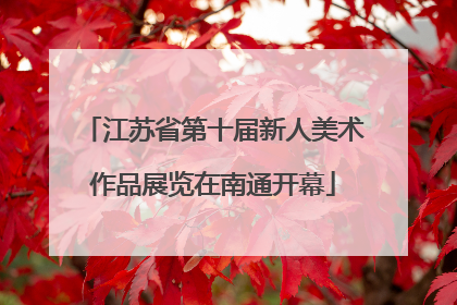 江苏省第十届新人美术作品展览在南通开幕