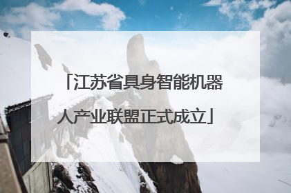 江苏省具身智能机器人产业联盟正式成立