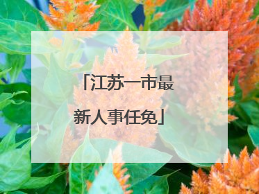 江苏一市最新人事任免