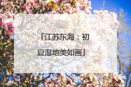 江苏东海：初夏湿地美如画