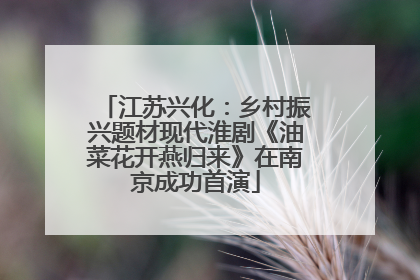 江苏兴化：乡村振兴题材现代淮剧《油菜花开燕归来》在南京成功首演