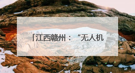 江西赣州：“无人机+高铁”助力赣南农特产“飞”出大山