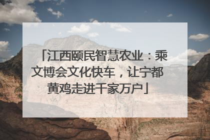 江西颐民智慧农业：乘文博会文化快车，让宁都黄鸡走进千家万户