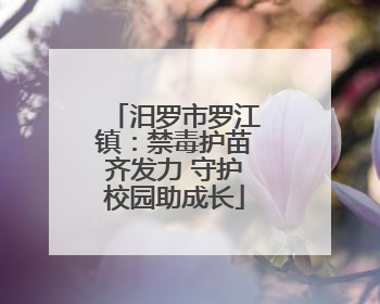 汨罗市罗江镇：禁毒护苗齐发力 守护校园助成长
