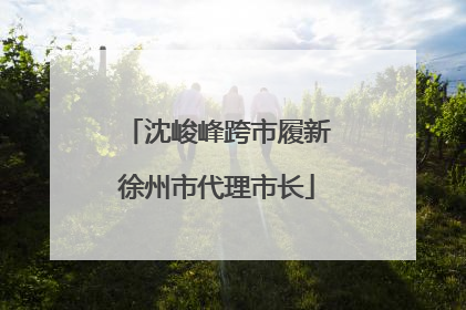 沈峻峰跨市履新徐州市代理市长