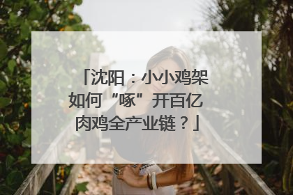 沈阳：小小鸡架如何“啄”开百亿肉鸡全产业链？
