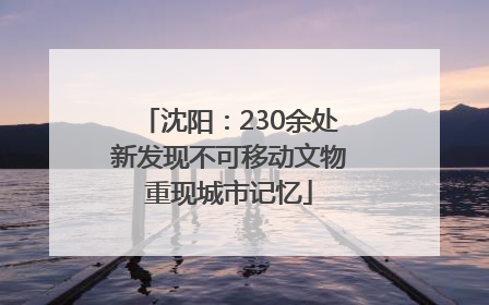 沈阳：230余处新发现不可移动文物重现城市记忆