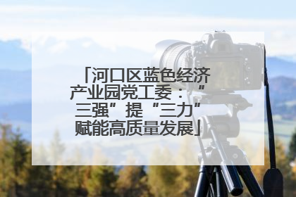 河口区蓝色经济产业园党工委：“三强”提“三力”赋能高质量发展