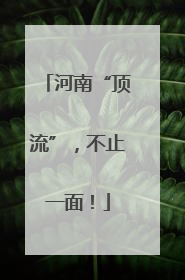 河南“顶流”，不止一面！