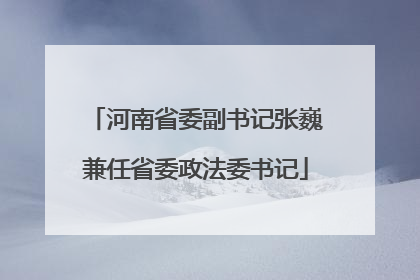 河南省委副书记张巍兼任省委政法委书记
