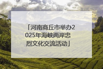 河南商丘市举办2025年海峡两岸忠烈文化交流活动