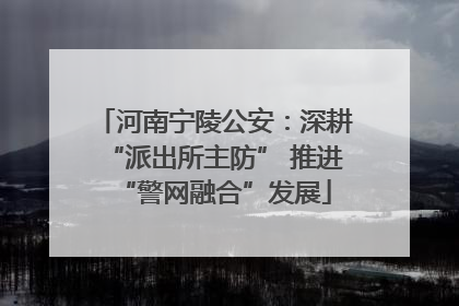 河南宁陵公安：深耕“派出所主防” 推进“警网融合”发展