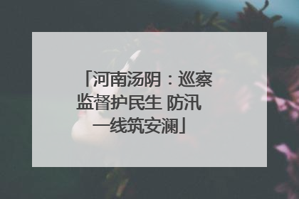 河南汤阴：巡察监督护民生 防汛一线筑安澜