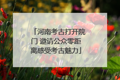 河南考古打开院门 邀请公众零距离感受考古魅力