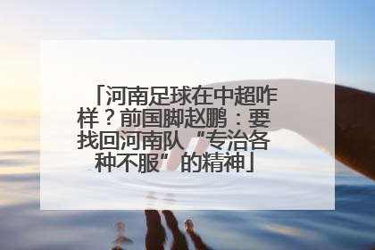 河南足球在中超咋样？前国脚赵鹏：要找回河南队“专治各种不服”的精神