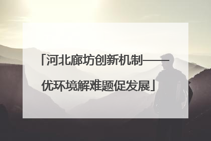 河北廊坊创新机制——优环境解难题促发展