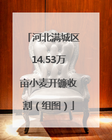 河北满城区14.53万亩小麦开镰收割（组图）