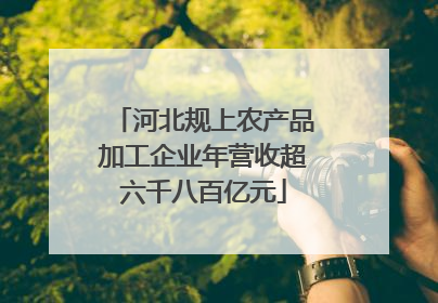 河北规上农产品加工企业年营收超六千八百亿元