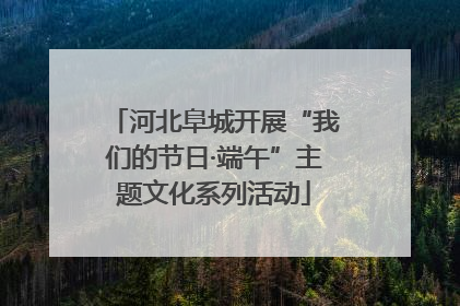 河北阜城开展“我们的节日·端午”主题文化系列活动