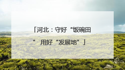 河北：守好“饭碗田” 用好“发展地”