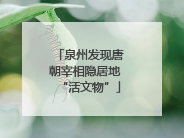 泉州发现唐朝宰相隐居地“活文物”
