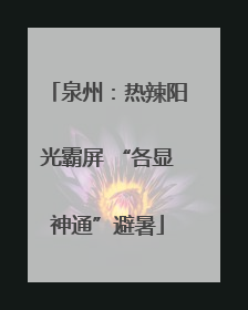 泉州：热辣阳光霸屏 “各显神通”避暑