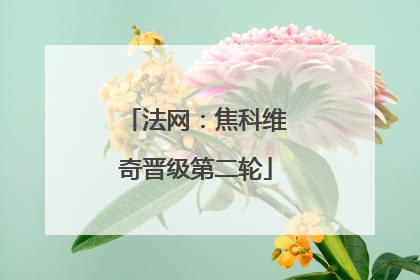 法网：焦科维奇晋级第二轮