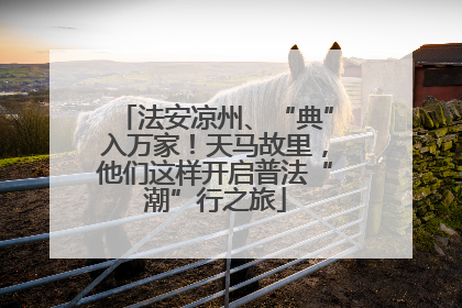 法安凉州、“典”入万家！天马故里，他们这样开启普法“潮”行之旅