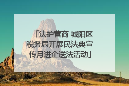 法护营商 城阳区税务局开展民法典宣传月进企送法活动
