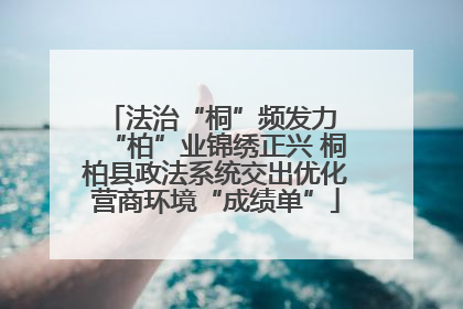 法治“桐”频发力 “柏”业锦绣正兴 桐柏县政法系统交出优化营商环境“成绩单”