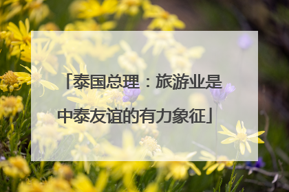 泰国总理：旅游业是中泰友谊的有力象征
