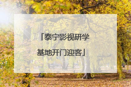 泰宁影视研学基地开门迎客