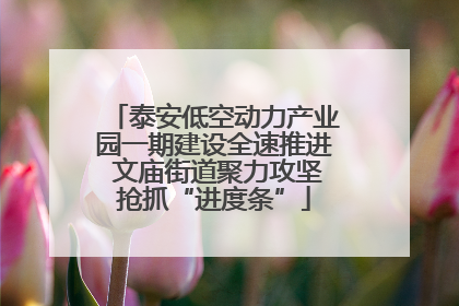 泰安低空动力产业园一期建设全速推进 文庙街道聚力攻坚抢抓“进度条”