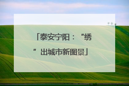 泰安宁阳：“绣”出城市新图景
