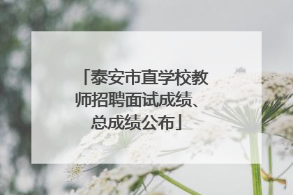 泰安市直学校教师招聘面试成绩、总成绩公布