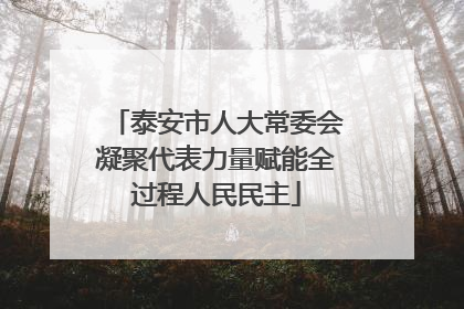 泰安市人大常委会凝聚代表力量赋能全过程人民民主