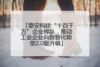 泰安构建“十百千万”企业梯队，推动工业企业向数智化转型2.0版升级