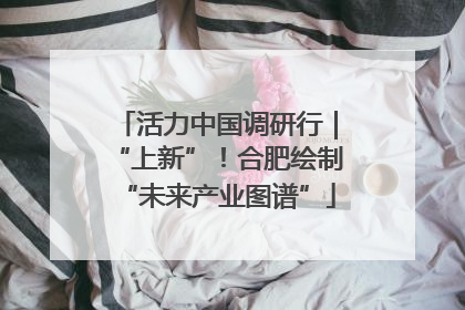 活力中国调研行｜“上新”！合肥绘制“未来产业图谱”