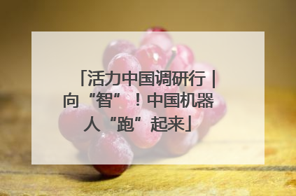 活力中国调研行｜向“智”！中国机器人“跑”起来