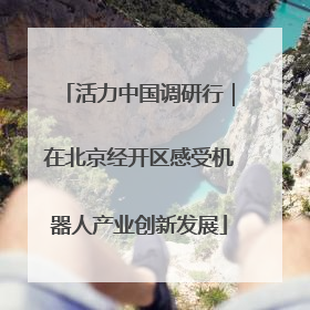 活力中国调研行｜在北京经开区感受机器人产业创新发展