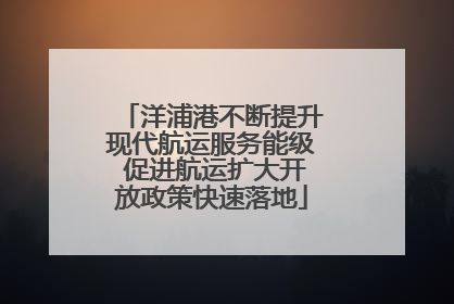 洋浦港不断提升现代航运服务能级 促进航运扩大开放政策快速落地