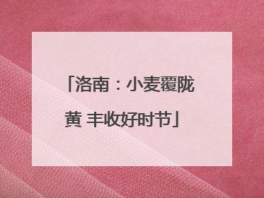 洛南：小麦覆陇黄 丰收好时节
