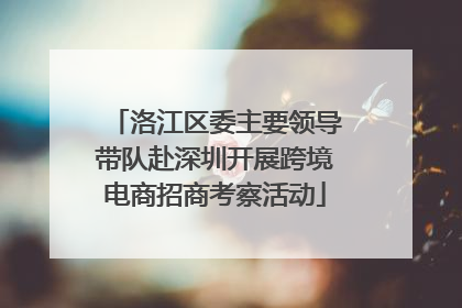 洛江区委主要领导带队赴深圳开展跨境电商招商考察活动