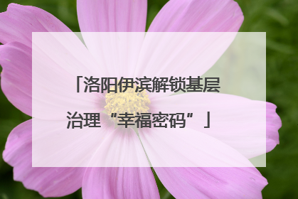 洛阳伊滨解锁基层治理“幸福密码”