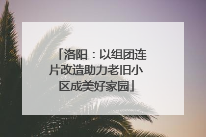 洛阳：以组团连片改造助力老旧小区成美好家园